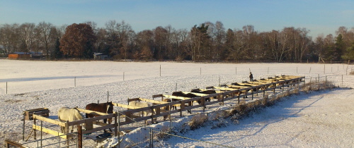 Kraftfutterstation Herde B