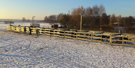 Kraftfutterstation Herde A Kraftfutterstation Herde A