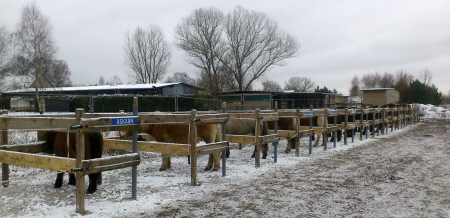 Kraftfutterstation Herde B