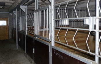 Stallgasse mit Blick auf 3 Boxen Stallgasse mit Blick auf 3 Boxen